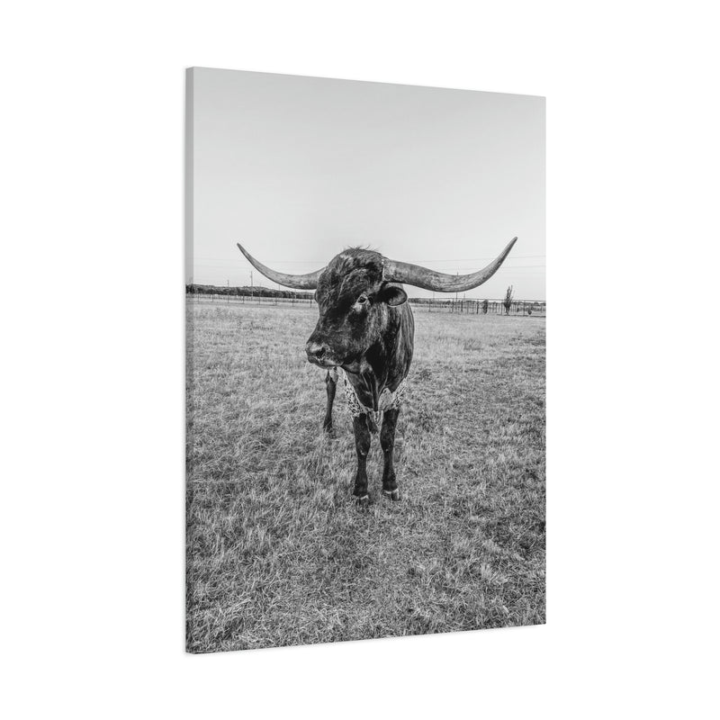 B&W Longhorn Bull Vertical Canvas