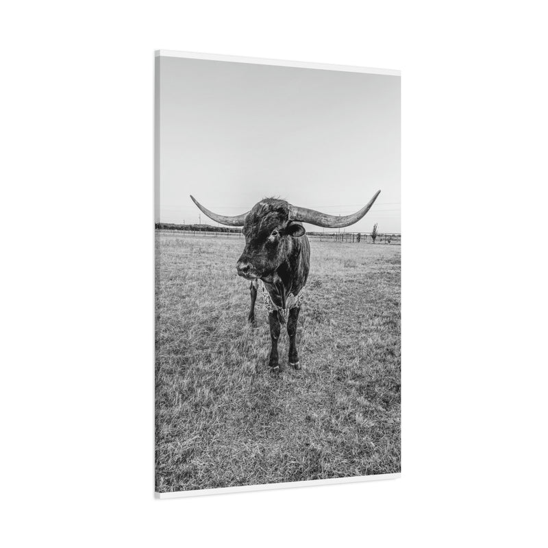 B&W Longhorn Bull Vertical Canvas