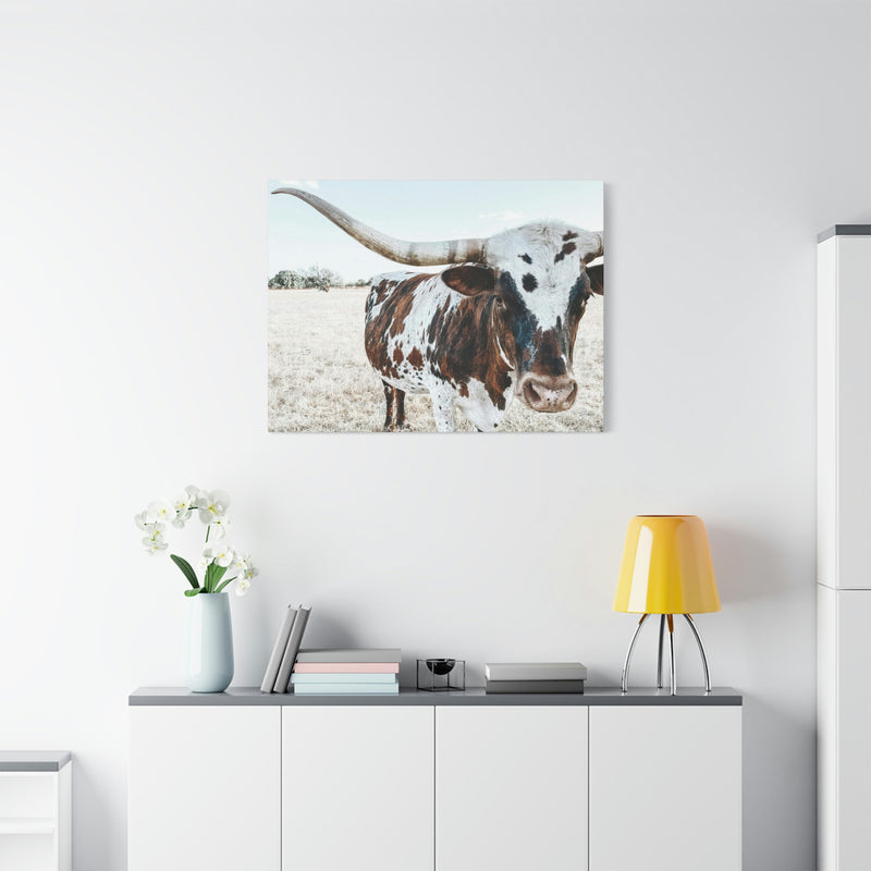 Charlotte The Longhorn Cow Horizontal Canvas