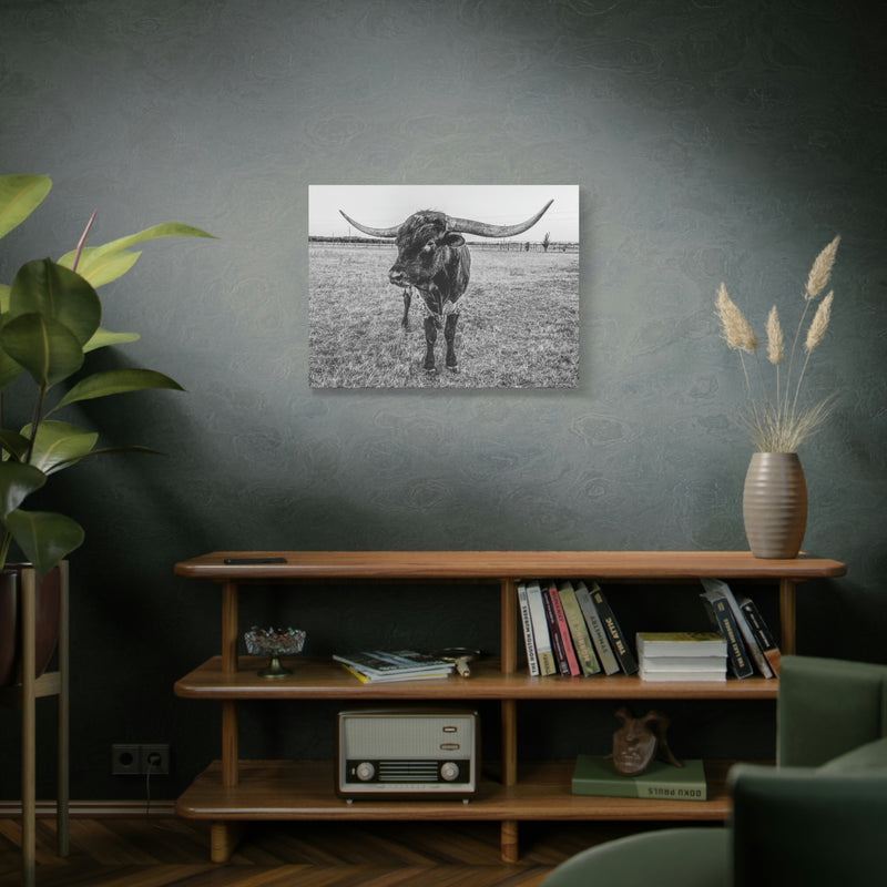 B&W Longhorn Bull Horizontal Canvas