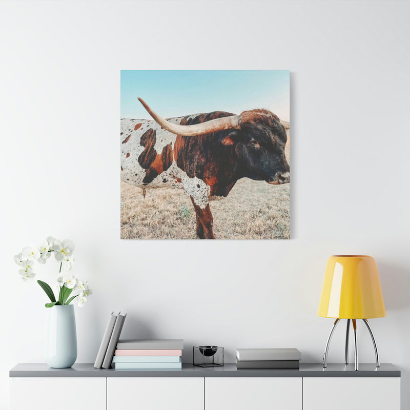 Iron Dragon Longhorn Bull Square Canvas