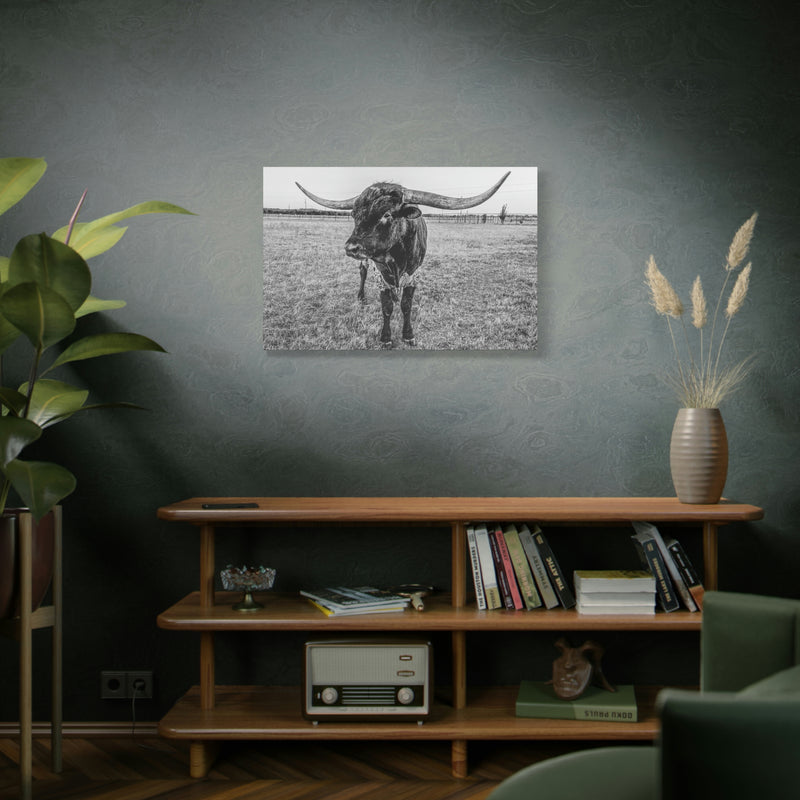 B&W Longhorn Bull Horizontal Canvas